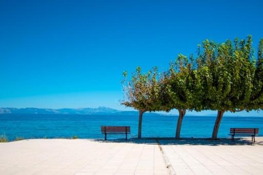 Lavish & Spacious Apt With Stunning Seaview, 10 Min Ath Airport Αρτέμιδα Εξωτερικό φωτογραφία