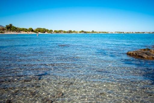 Lavish & Spacious Apt With Stunning Seaview, 10 Min Ath Airport Αρτέμιδα Εξωτερικό φωτογραφία